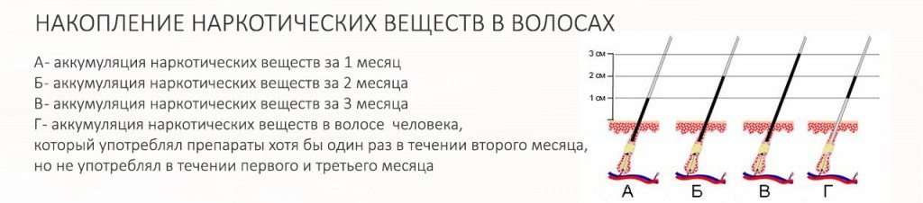 тест на наркотики по волосам